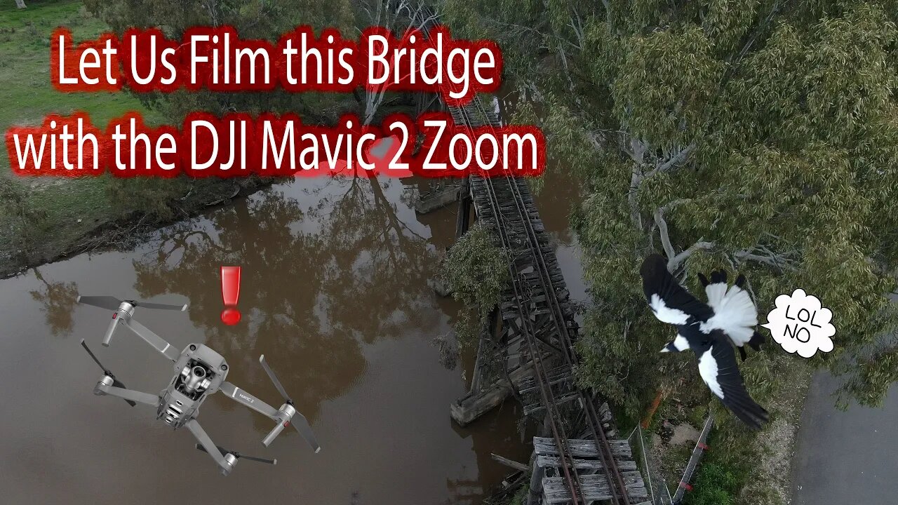 Dji Mavic 2 Zoom Vs Magpie (NOT INJURED)