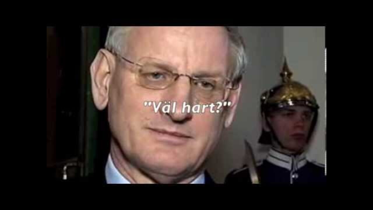 Bildt väcker frågor