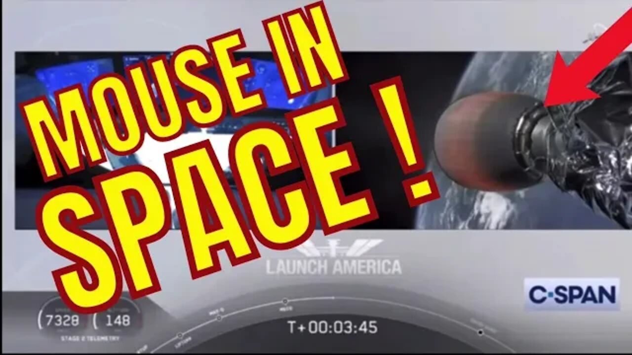 Space Mouse