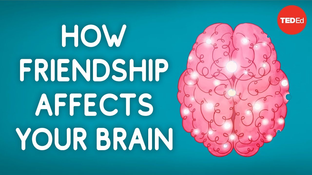 How friendship affects your brain