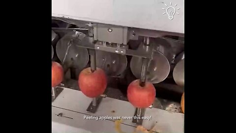 Look at how apples are stripped in a manufacturing plant!