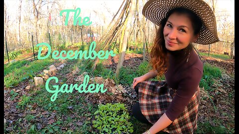 Planting in the December Garden VLOG