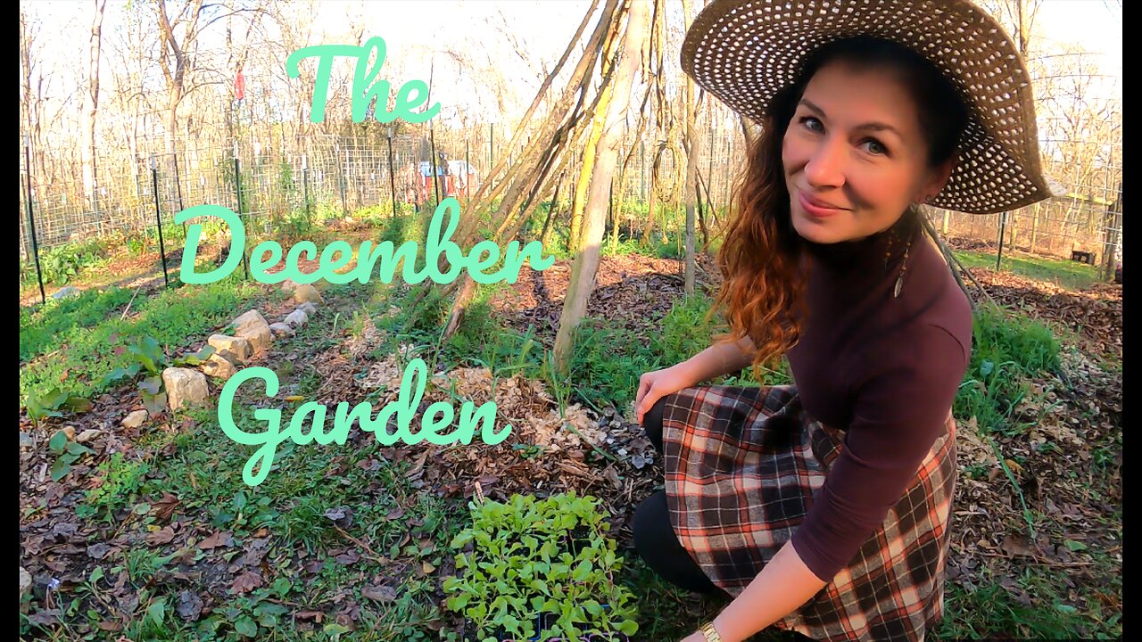 Planting in the December Garden VLOG