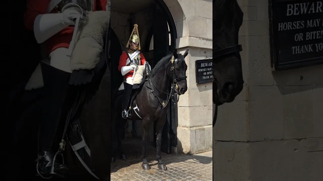 The horse almost got her #horseguardsparade