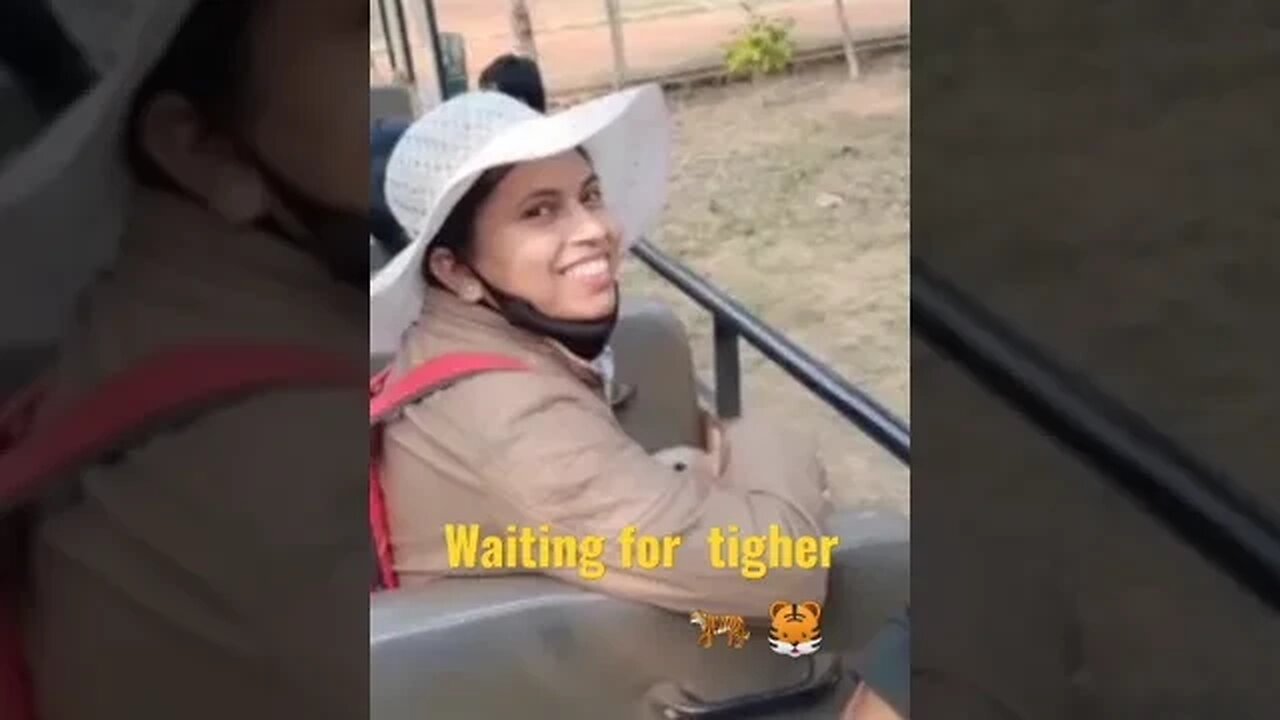 जंगल के बीच मैं Tiger 🐅 का इंतजार #Shorts #pasoori #trending