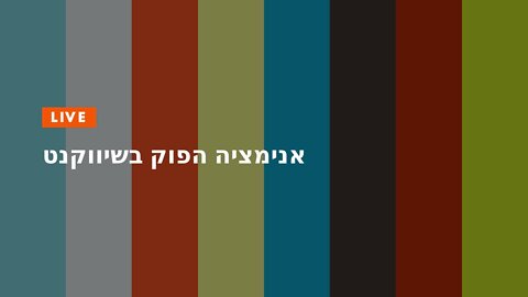 אנימציה הפוק בשיווקנט