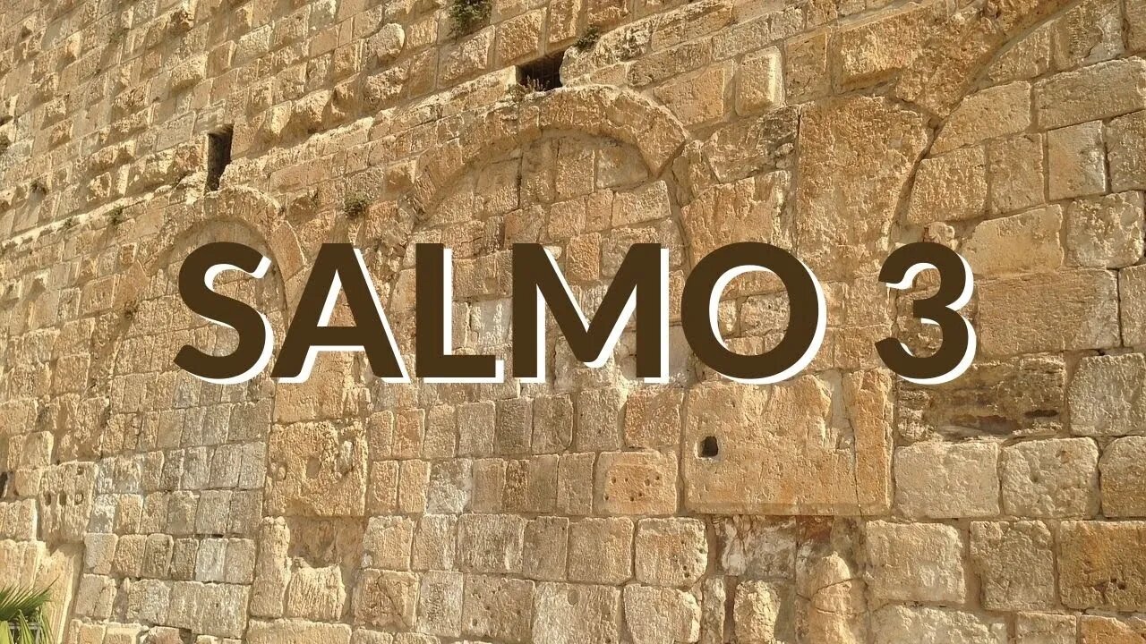 SALMO 3 - Ep. #71