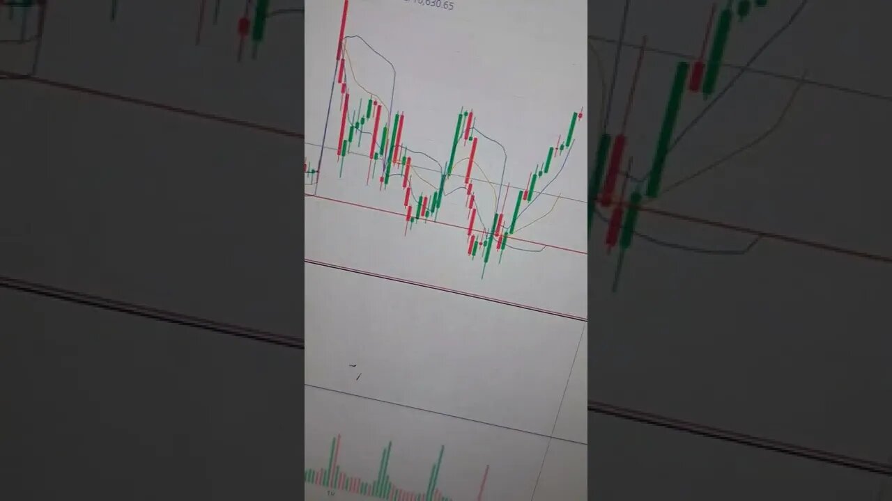 CHART LANGUAGE TESLA 233