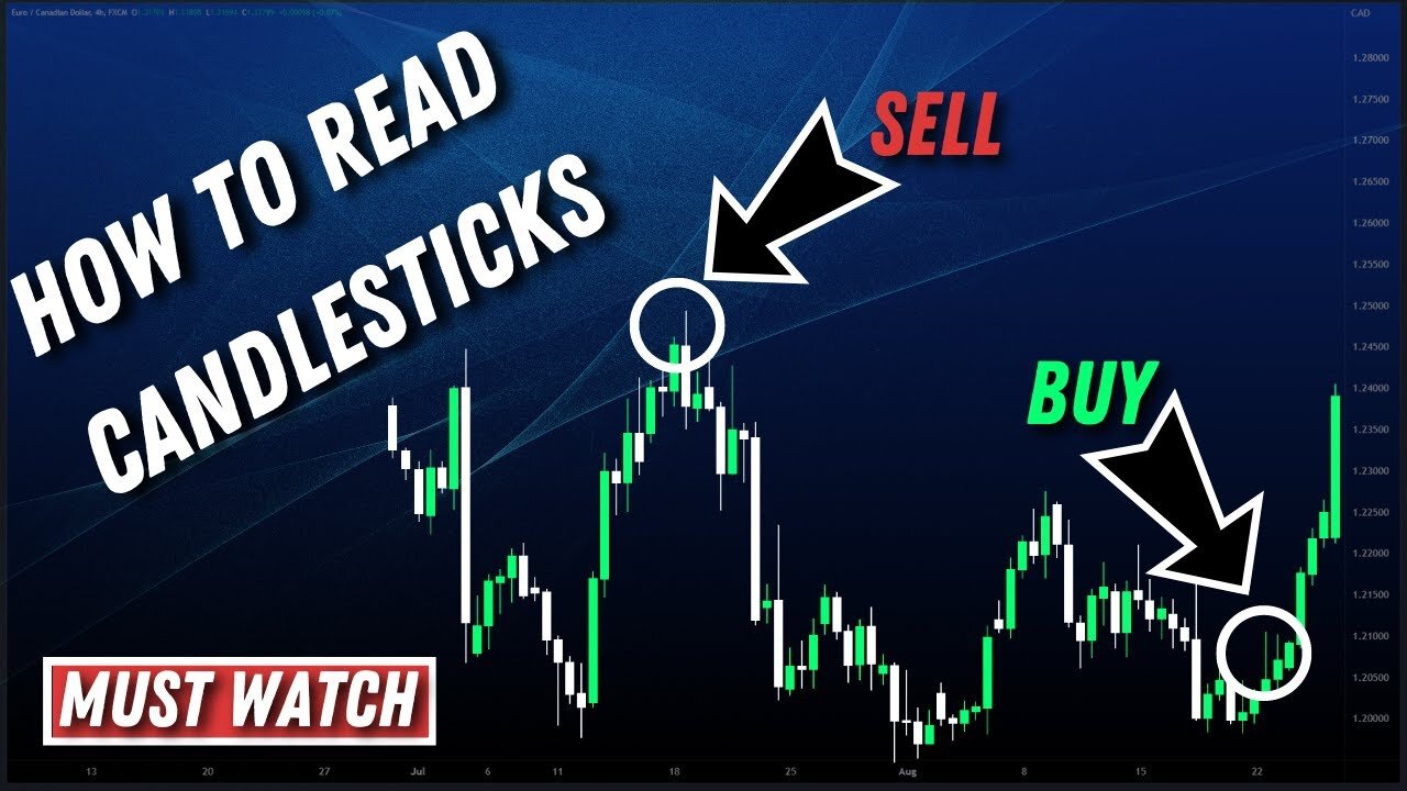 THE CANDLESTICK GUIDE: How to identify a candlestick in forex