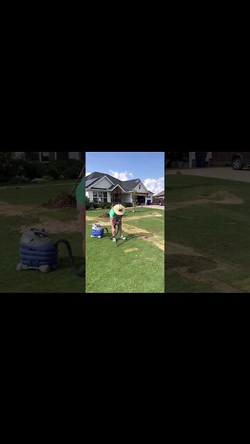 Vacuuming My Lawn