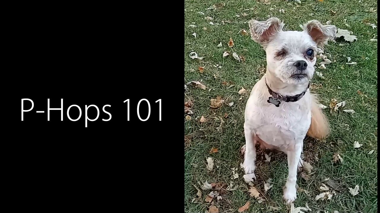 P-Hops 101