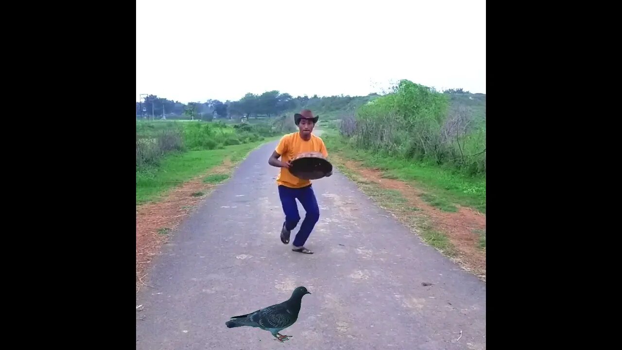 YT2mp3 info bird catching funny vfx magic video𤣠l #shorts #shortsvideo #youtubeshorts #funny #s