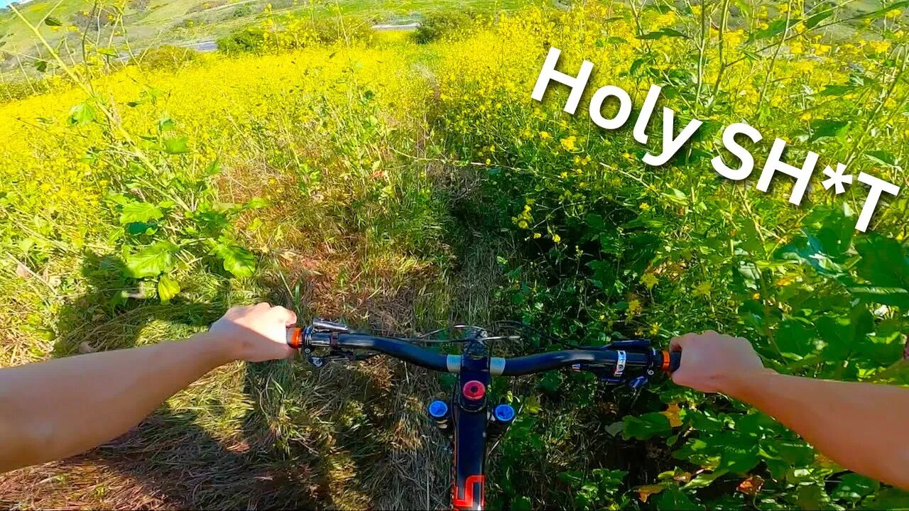 This Is Wildest Trail EVER