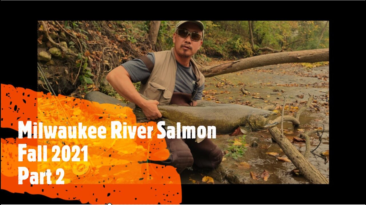 Milwaukee River Salmon Fishign Fall 2021 (Full part 2)