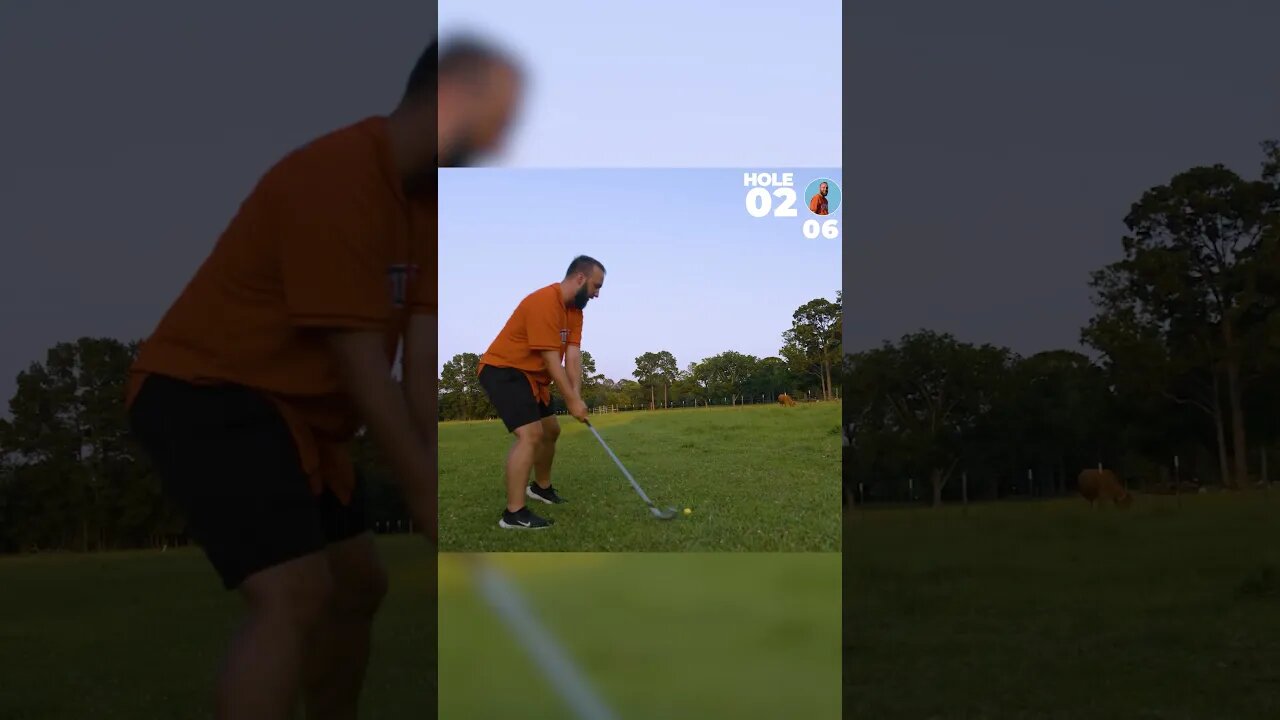 #shorts | HOLE IN 2 | AMAZING SHOT GOES DOWN FOR A HOLE IN TWO | GARDEN GOLF | REDNECK GOLF | CIWTG