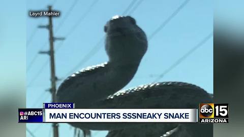 Valley man encounters snake on his car windshield