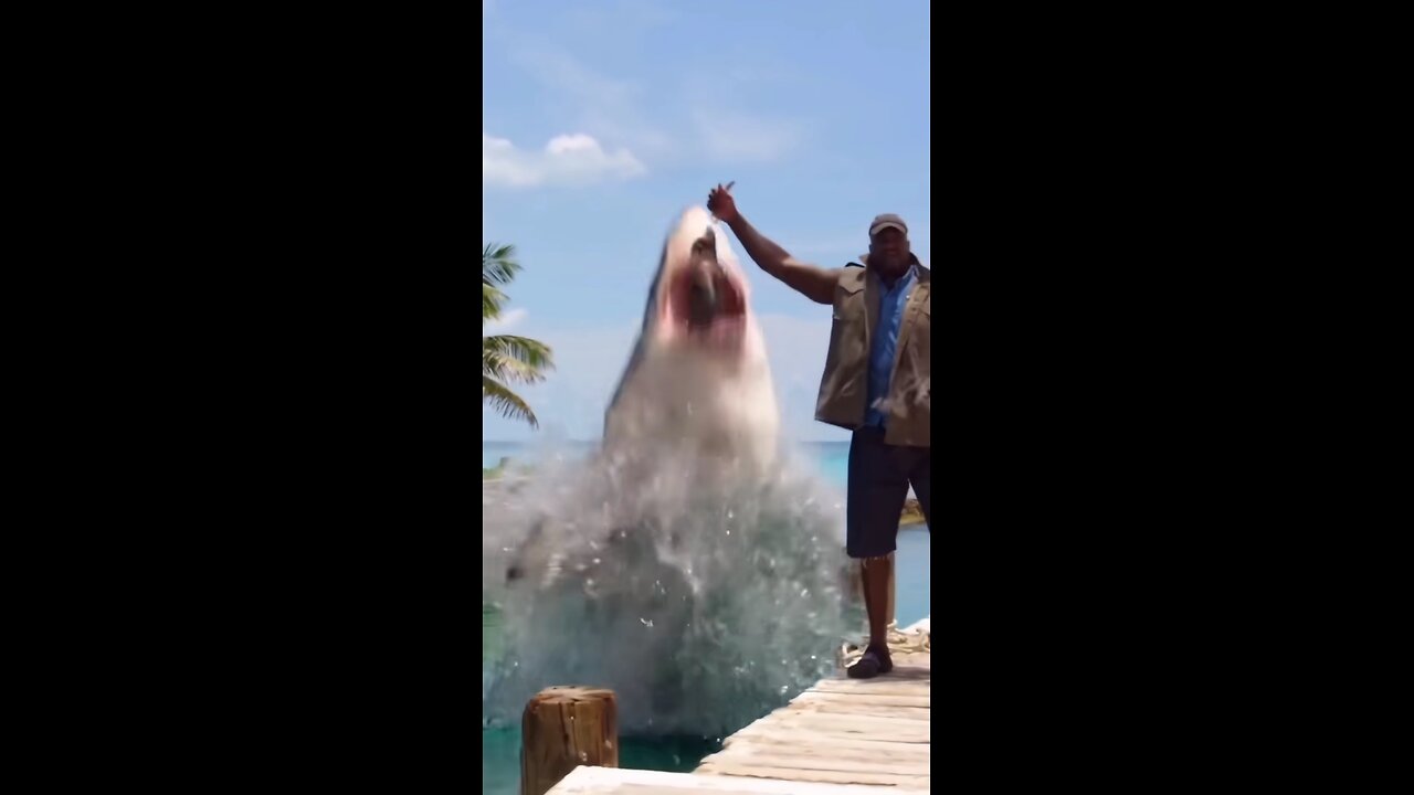 A man's hand was severed in a sudden and unexpected shark attack.😱