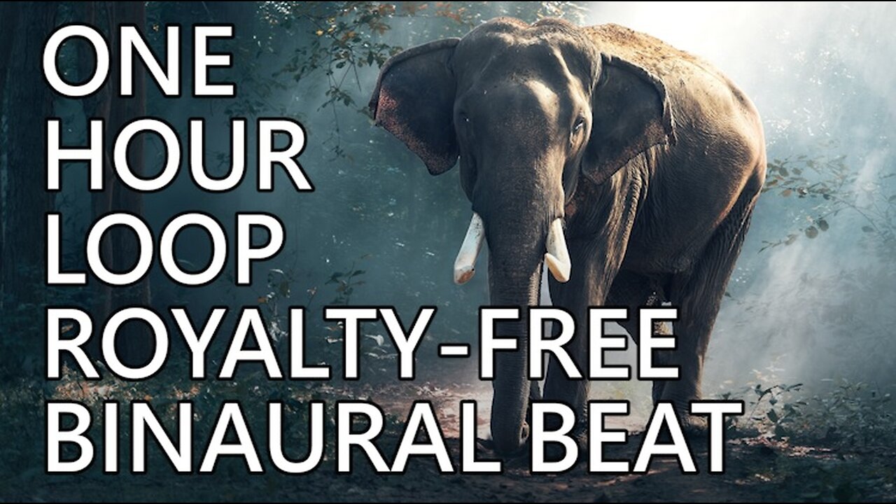 1 Hour of Royalty Free Binaural Beats to Relax, Meditate, Study, Sleep 😍