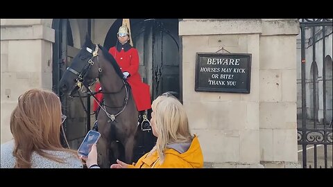 Move out of the way for the King's guard #horseguardsparade