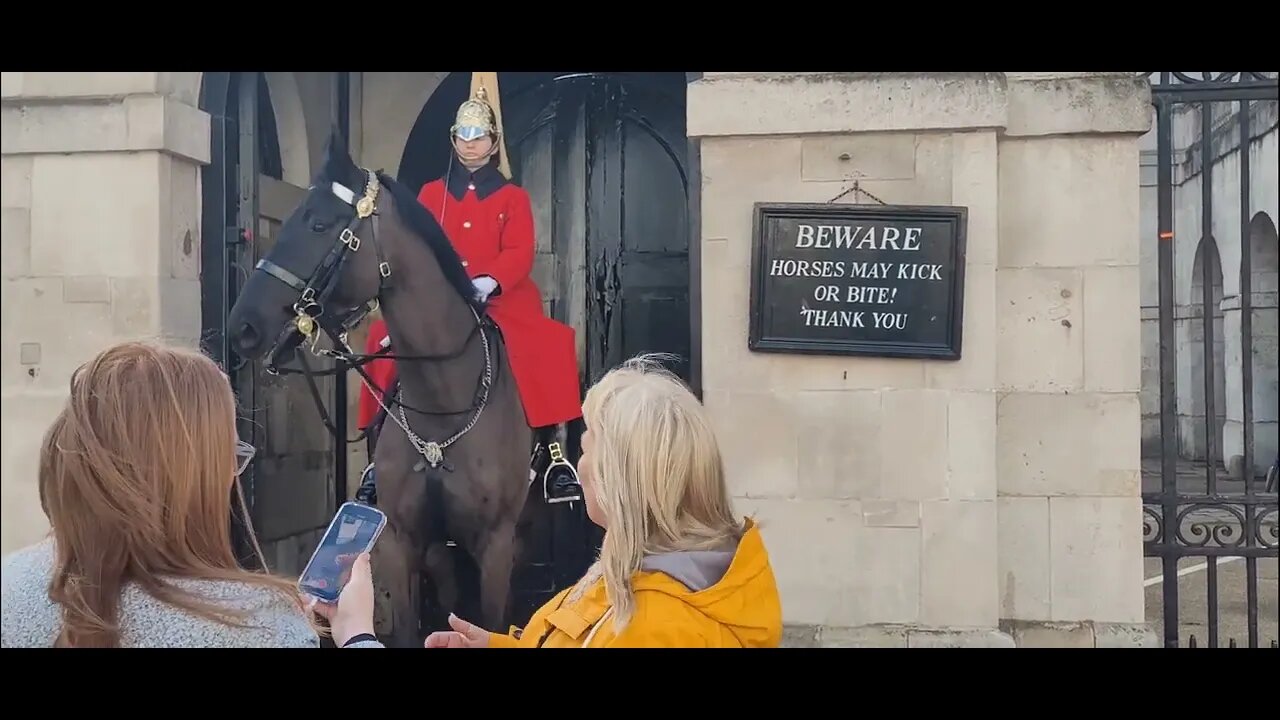 Move out of the way for the King's guard #horseguardsparade