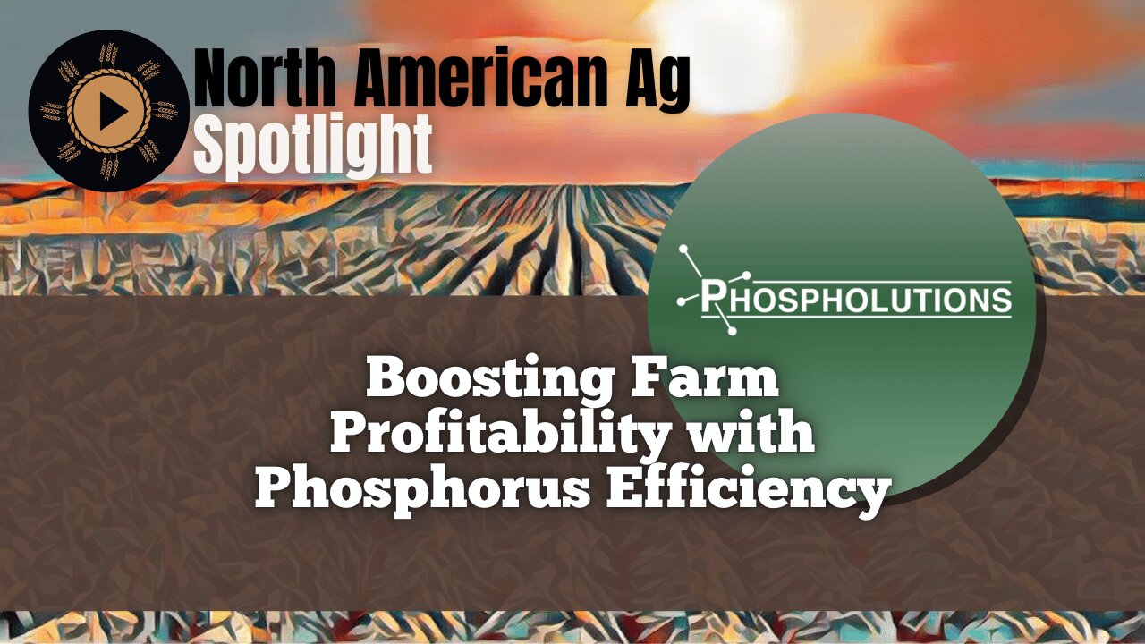 Boosting Farm Profitability with Phosphorus Efficiency