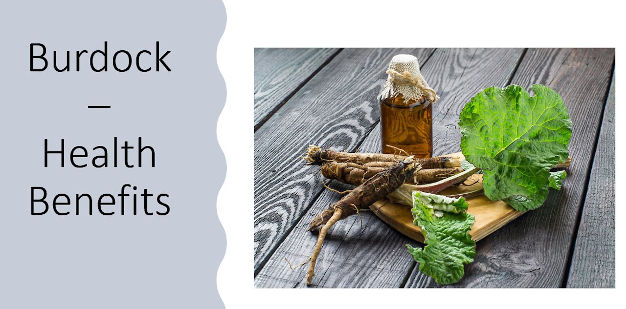 Burdock - Health Benefits