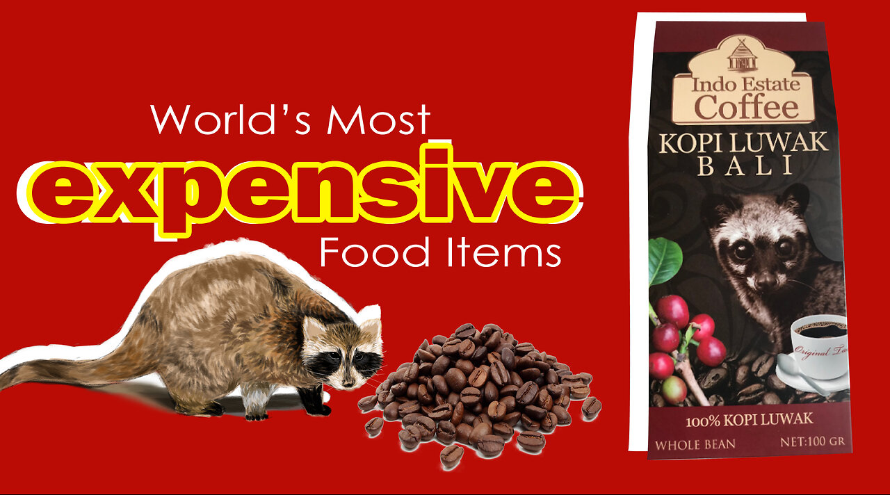 World's Most Expensive Food Items