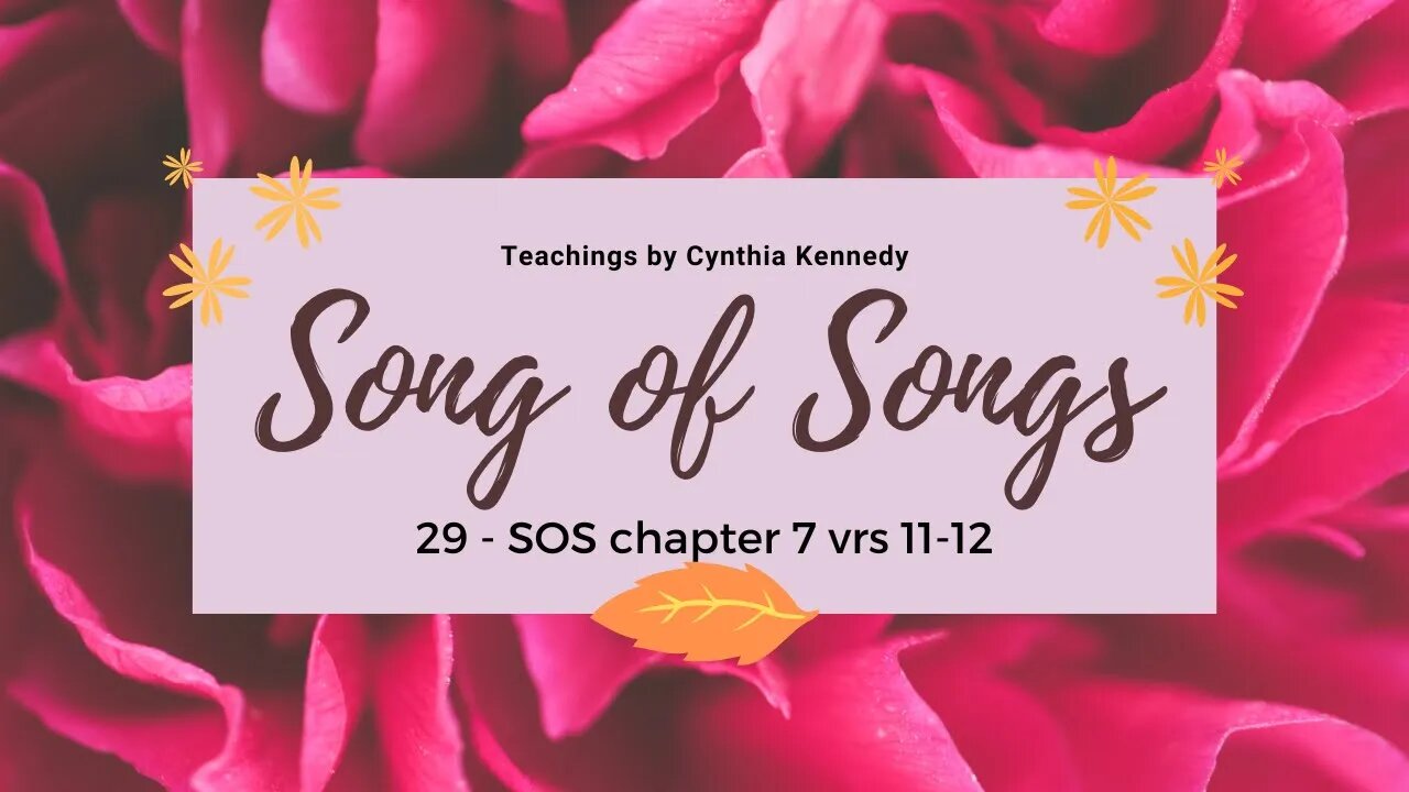 29- Song of Solomon Teachings chapter 6:12-13 A Sarcastic Response from the Church