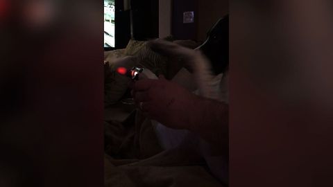 Jealous Dog Won't Let Man Play Video Games