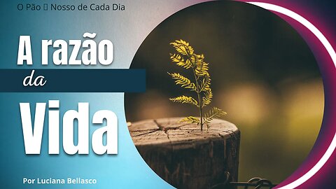 Qual o Propósito da Nossa Vida? O Pão 🍞 Nosso de Cada Dia.