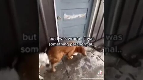 The Door in my backyard