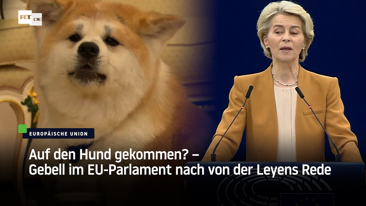 Auf den Hund gekommen? – Gebell im EU-Parlament nach von der Leyens Rede