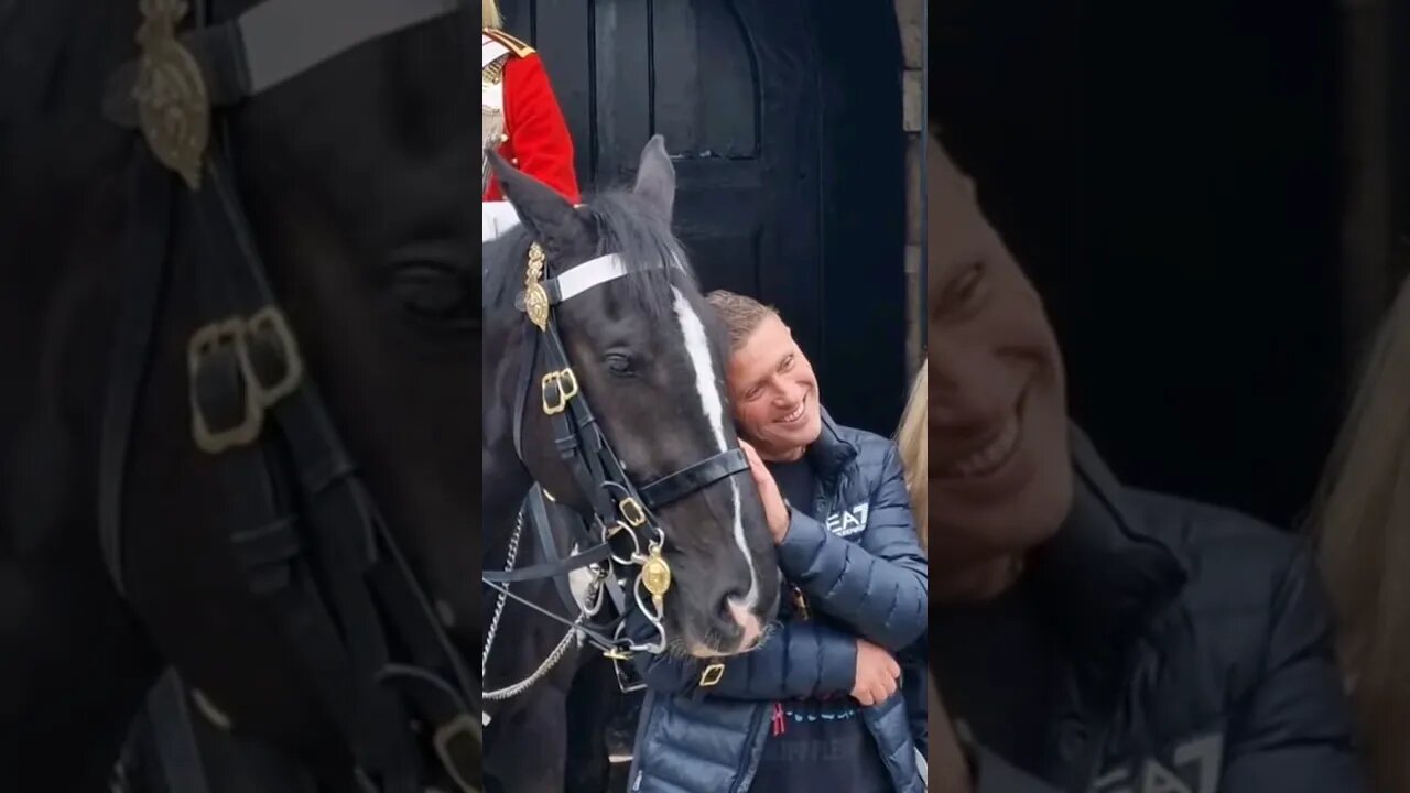 Horse poses either tourist #horseguardsparade