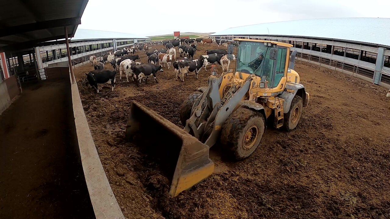 Loader Work
