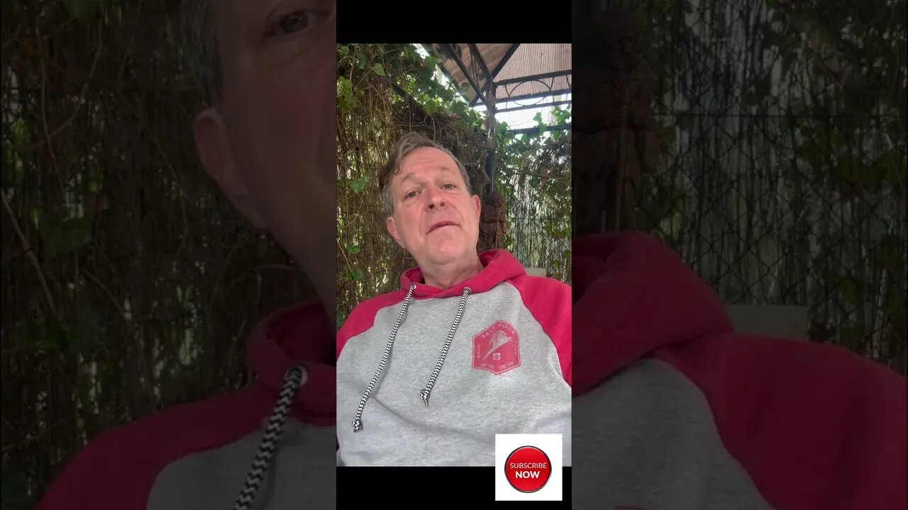 TikTok und die westliche Wertegemeinschaft