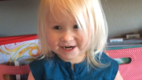 A Little Girl Hides Her Toy In Her Hands