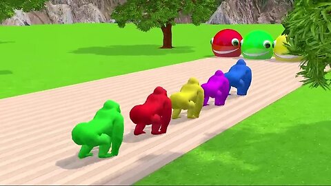 Funny 3d animals for kids