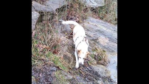 hike with captain - CNRA's hidden stone-masonry, structure 1