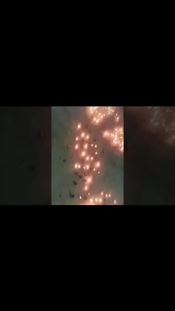 Devdipavali Deep Mahotsav at Baba Anandeswar Dham #anandeshwar #bhole #bholenathwhatsappstatus (1)