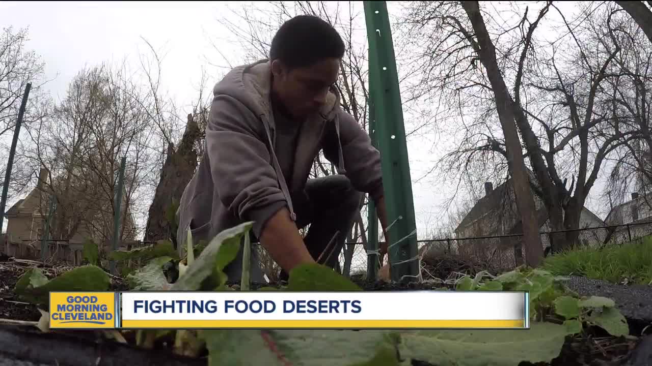 Green Corps helping communities get access to healthy food