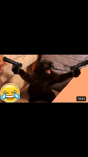 Come Chill 😻 Cat trying to jump inside the Tv