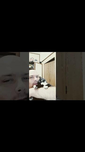 holding my kitty #shortsfeed #kitty #cat #shortsvideo #youtubeshorts #cutecat #cutekitty #kittycat