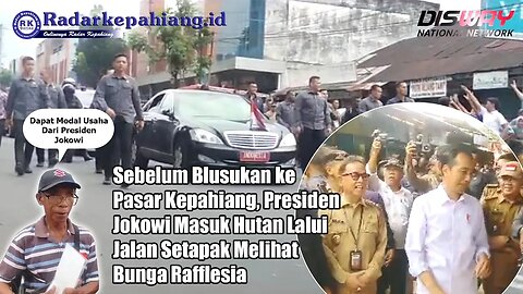 Sebelum Blusukan ke Pasar Kepahiang, Presiden Jokowi Masuk Hutan Lalui Jalan Setapak Lihat Rafflesia