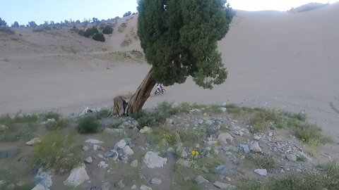 CR500 AKA "The Dune Hoon"