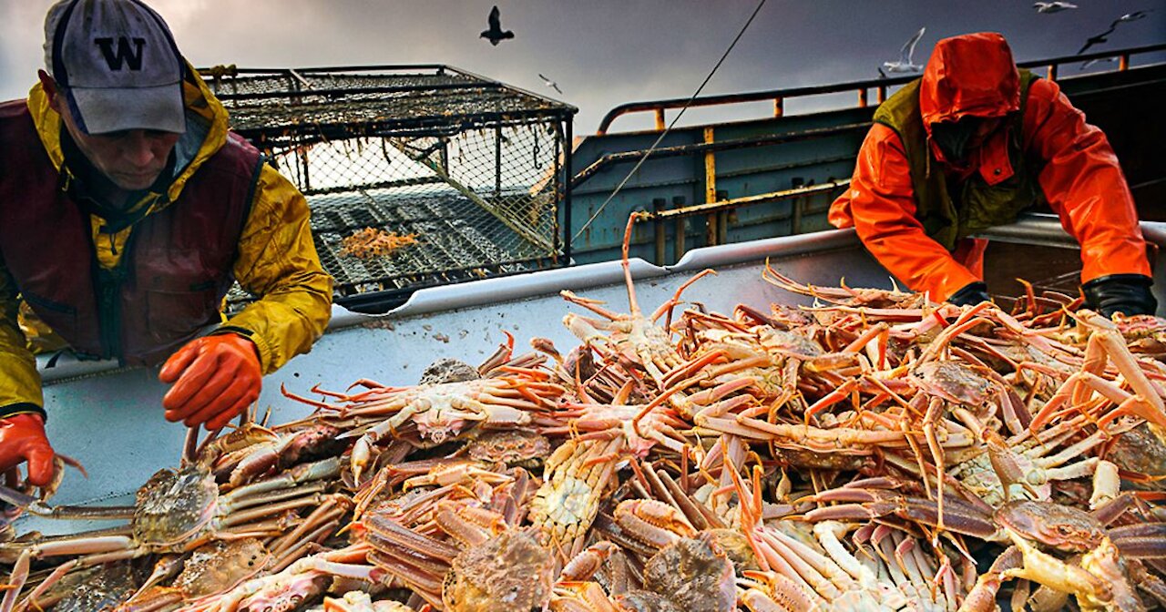 DEADLIEST CATCH - Alaskan Crab Fishing - Full Episode