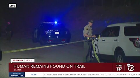 Human remains found on trail