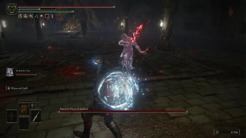 ELDEN RING Zamor Boss Fight