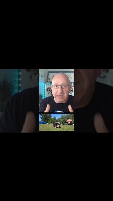 Why we don't post reactive dog videos? #sarodogtraining