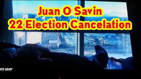 Juan O Savin "22 Election Cancelation"