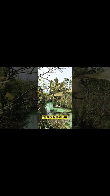 EARTH NEEDS YOU TO CONNECT#shortsfeed #spiritguidemessage #spiritualawakening #goodvibes #gaia 🌍🌎